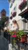 Anastasia: photo №15