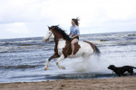 Yulia: photo №5