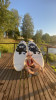 Anna: photo №6
