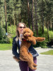 Angelika: photo №15