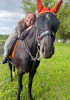 Larisa: photo №14